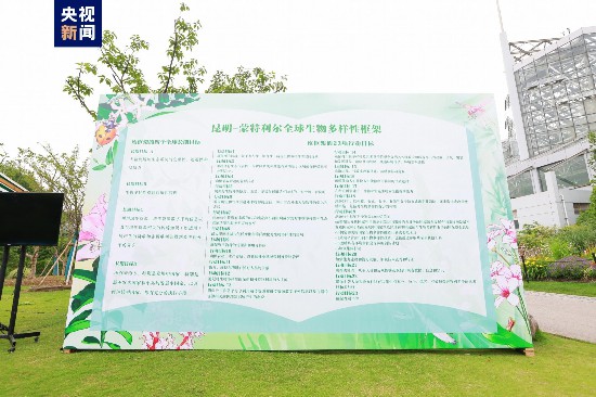 上海建成430余座城市公園 將發布新一版生態保護紅線