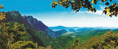 我國重點保護野生動植物種群持續(xù)恢復