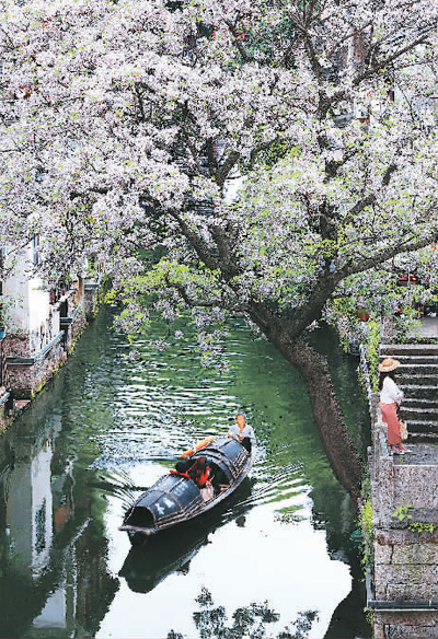 浙江紹興打造“活著的千年古城”