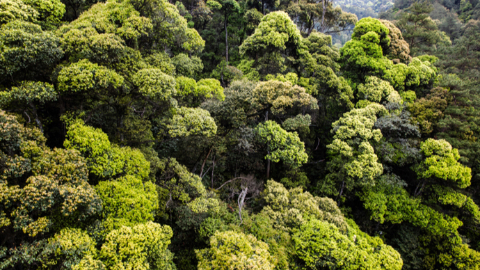 長三角首個(gè)國家公園將誕生