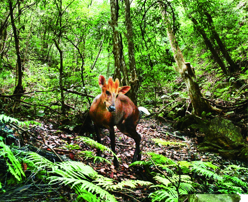 長三角首個(gè)國家公園將誕生