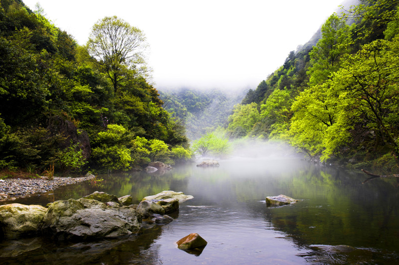 長三角首個(gè)國家公園將誕生