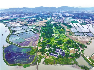 不斷發掘內涵豐富的長江文化