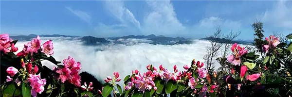 瀘古高速服務(wù)區(qū)及周邊地塊城市設(shè)計競賽，邀您參加