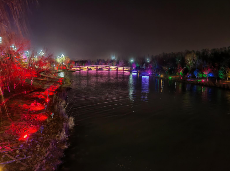 銀川花博園從賞花公園轉型為全時活力空間
