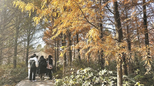 上海：“網(wǎng)紅公園”做對了什么？