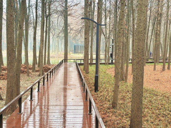 上海：“網(wǎng)紅公園”做對了什么？