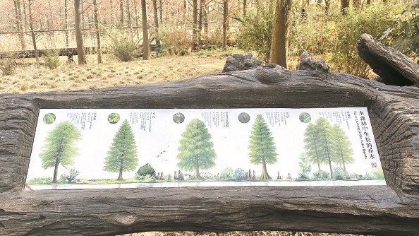 上海：“網(wǎng)紅公園”做對了什么？