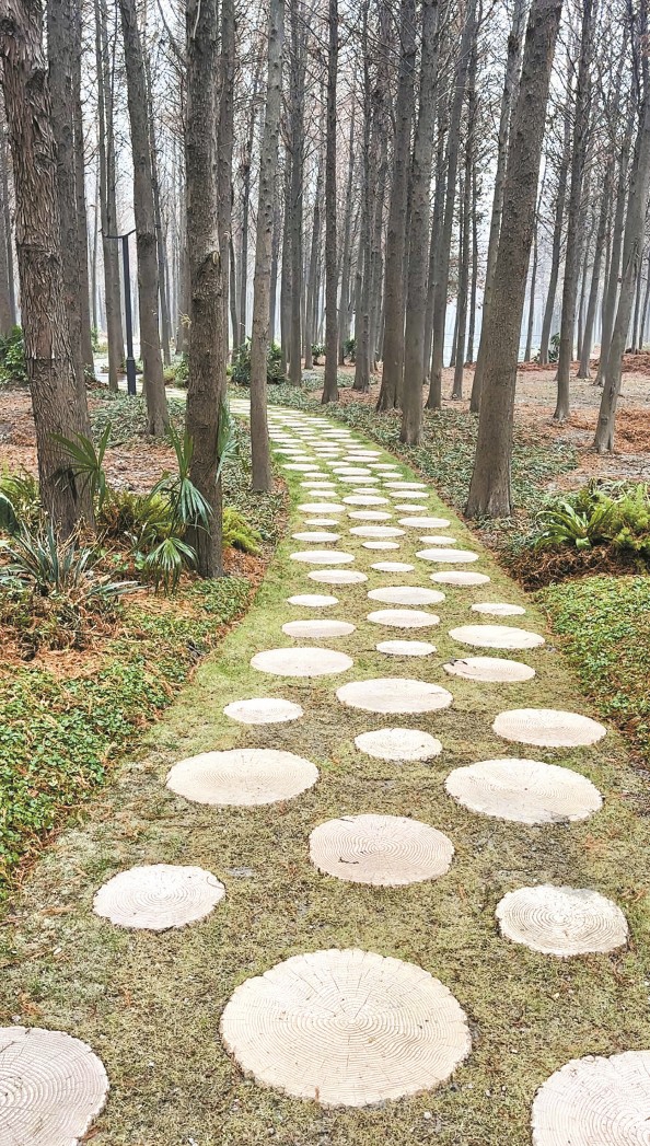 上海：“網(wǎng)紅公園”做對了什么？