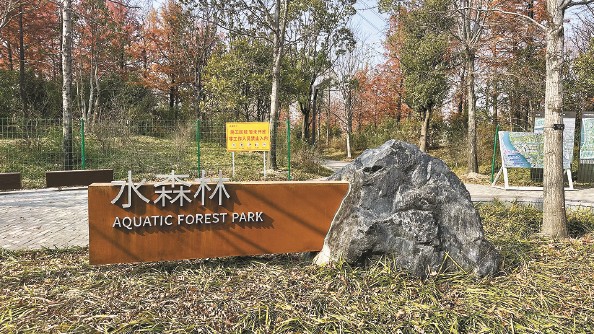 上海：“網(wǎng)紅公園”做對了什么？