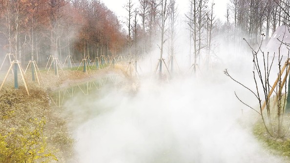 上海：“網(wǎng)紅公園”做對了什么？