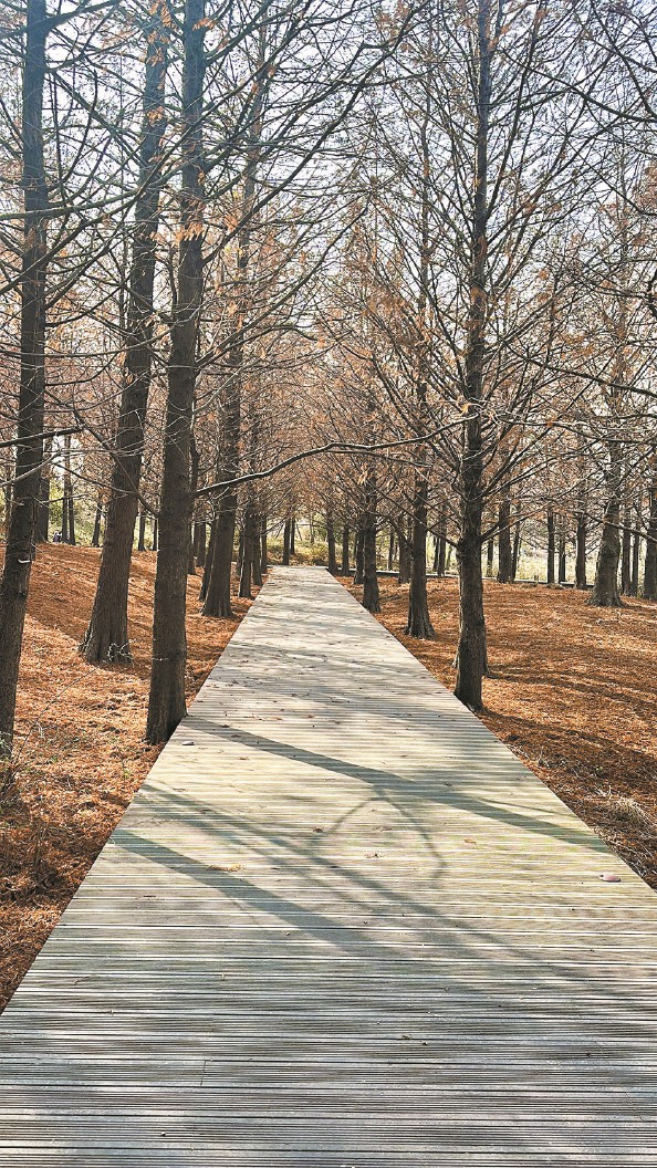 上海：“網(wǎng)紅公園”做對了什么？