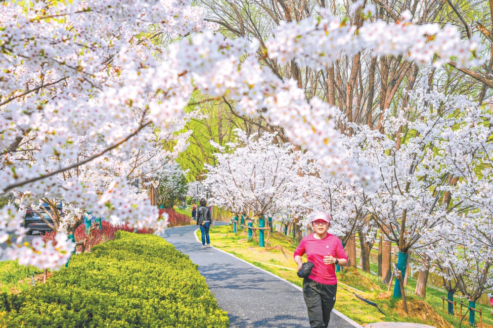 北京，一座看不盡的花園之城
