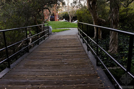 美國舊金山Levi公園實景圖