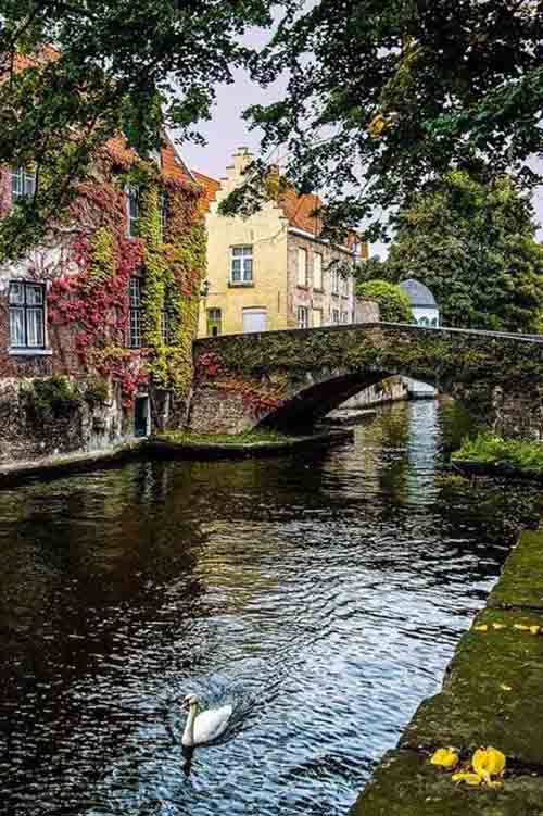 布魯日運(yùn)河(CanalsofBruges)