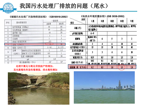 張飲江教授：水質生態修復景觀構建