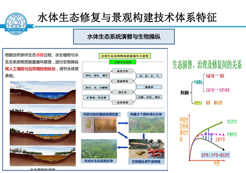 張飲江教授：水質生態修復景觀構建