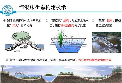 張飲江教授：水質生態修復景觀構建