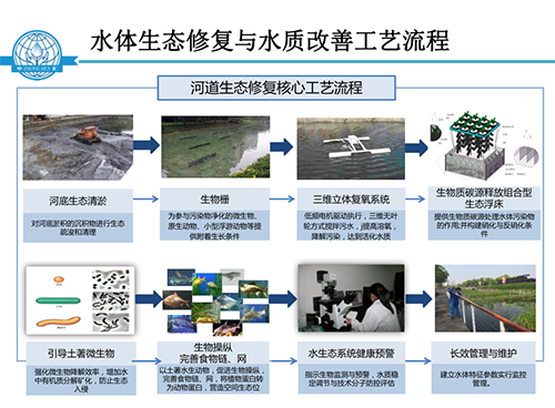 張飲江教授：水質生態修復景觀構建