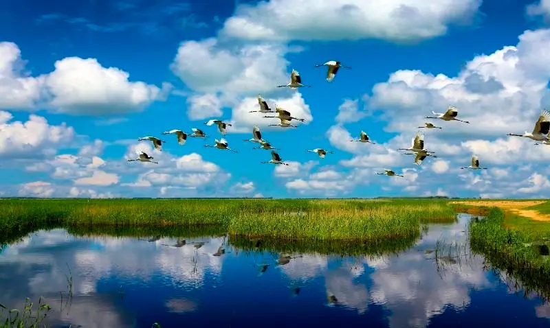全國現(xiàn)有濕地5635萬公頃 濕地保護(hù)體系初步建立