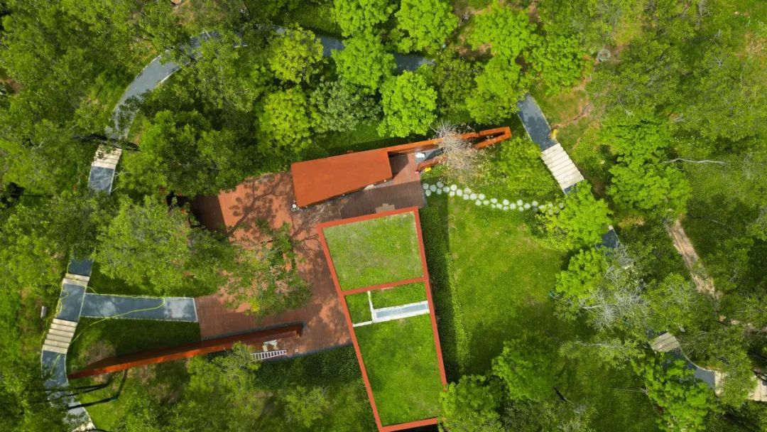 文科綠色科技丨深圳南山區僑城北公園