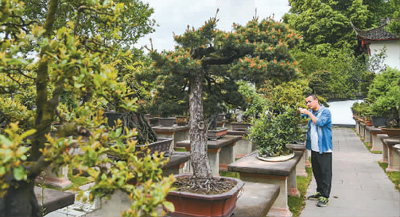 走進(jìn)成都世園會：山水園林帶動文旅消費(fèi)