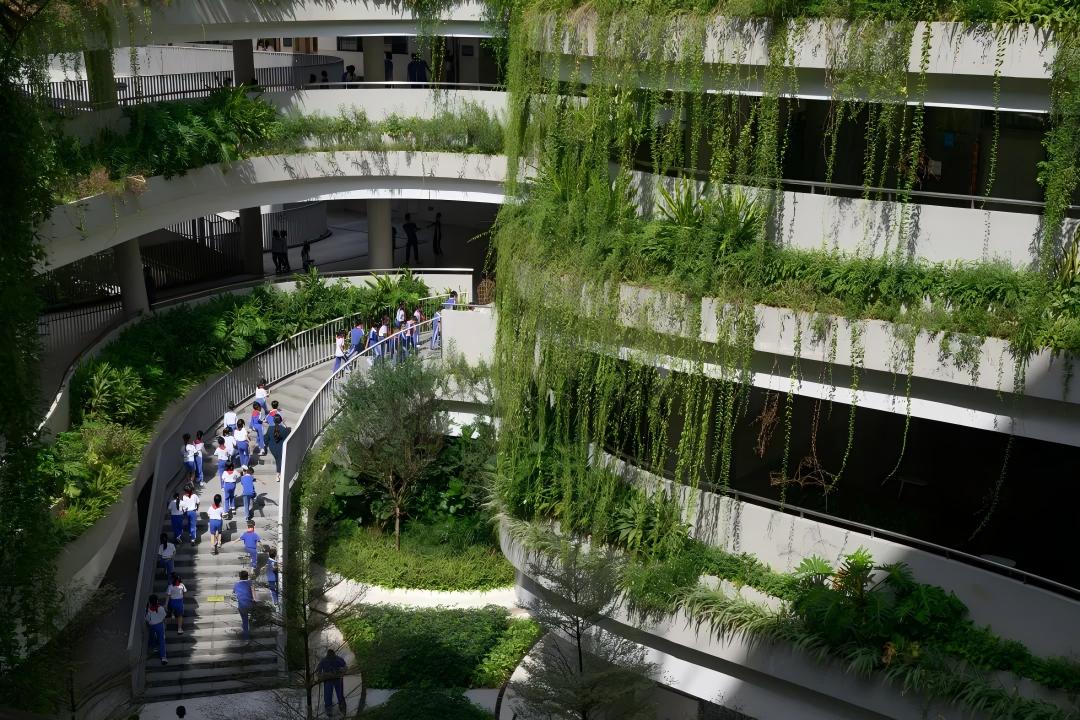 大小景觀 | 深圳華富實驗學校