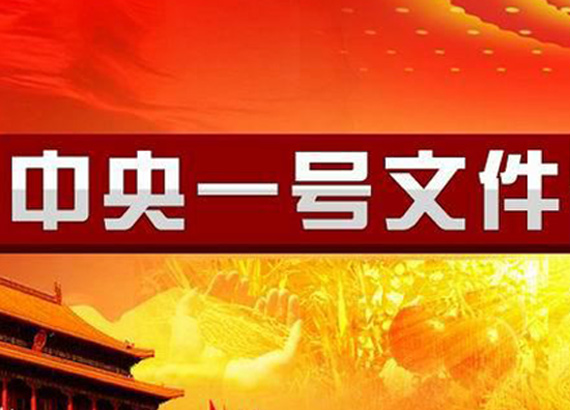 中央一號文件27項舉措推進鄉村振興