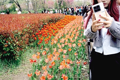 鄭州如何從人民公園發展到“千園”鄭州
